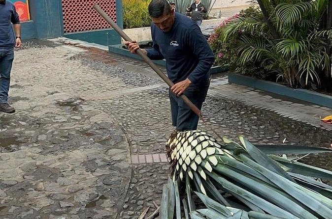 Tequila Experience private tour experience