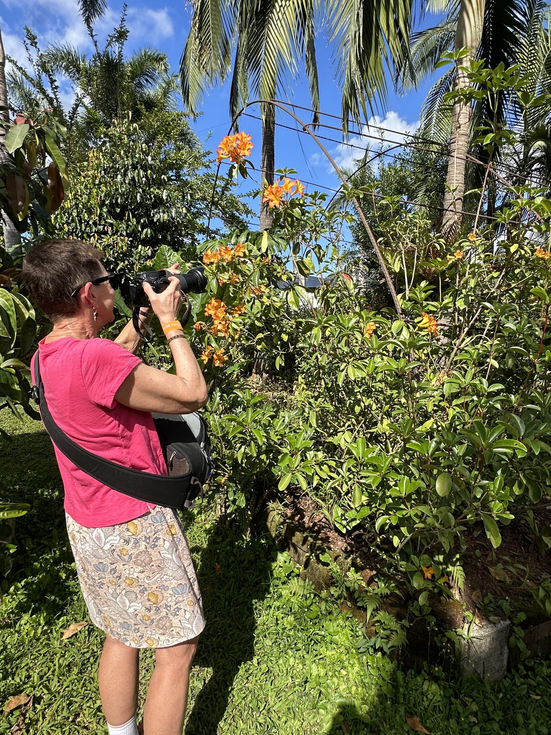 Botanical Gardens Tour private tour experience